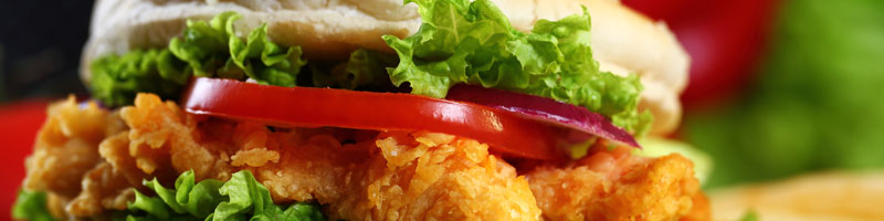 Burgers category header image